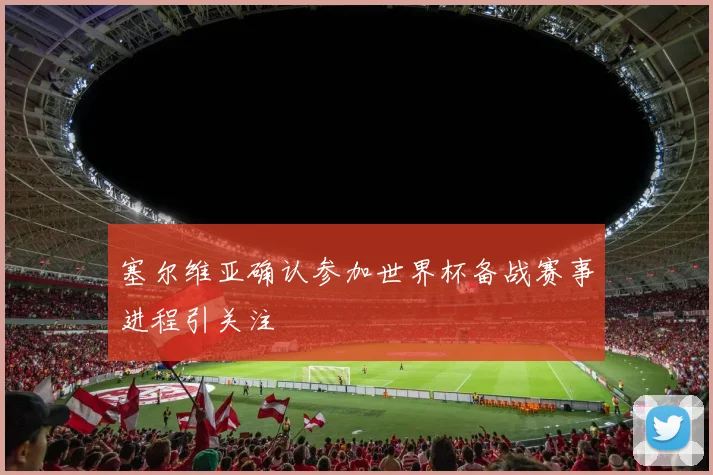 塞尔维亚确认参加世界杯备战赛事进程引关注