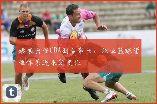 姚明出任CBA副董事长，职业篮球管理体系迎来新变化