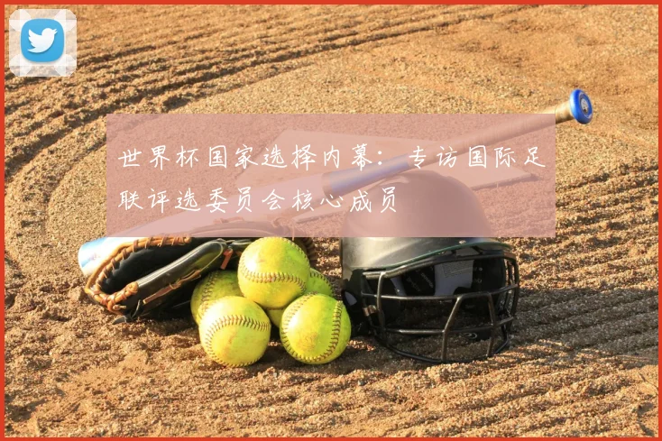世界杯国家选择内幕：专访国际足联评选委员会核心成员