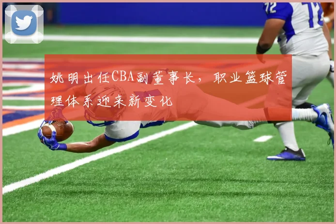 姚明出任CBA副董事长，职业篮球管理体系迎来新变化