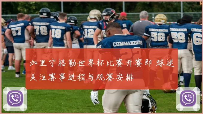 加里宁格勒世界杯比赛开赛即 球迷关注赛事进程与观赛安排