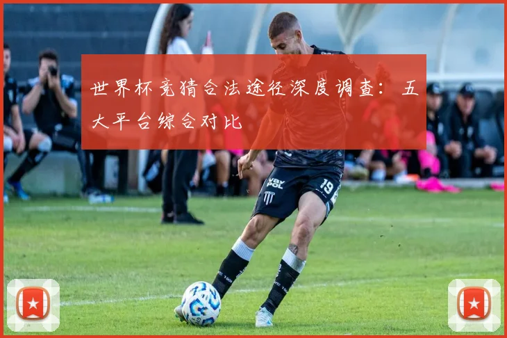 世界杯竞猜合法途径深度调查：五大平台综合对比